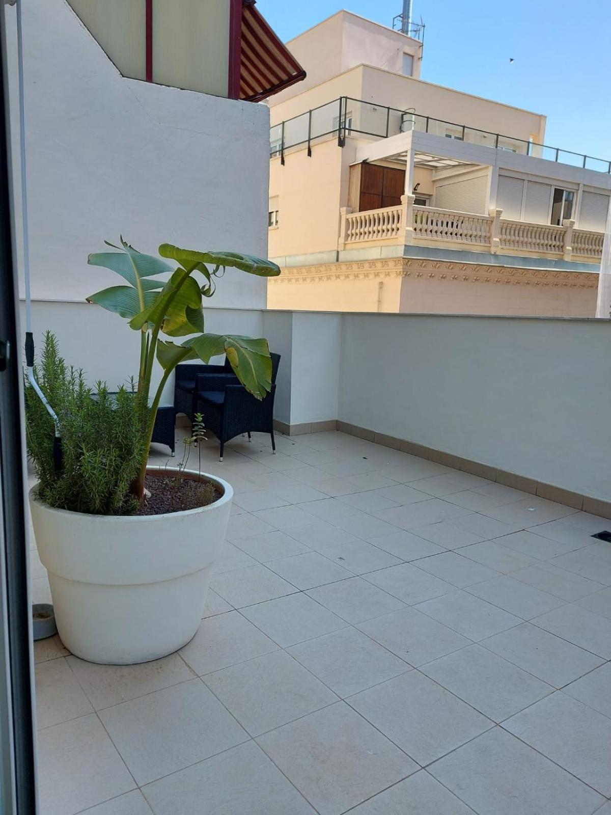 Sanfernando14 Leilighet Alicante Eksteriør bilde